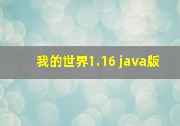 我的世界1.16 java版